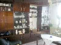 ob�v�k v pat�e